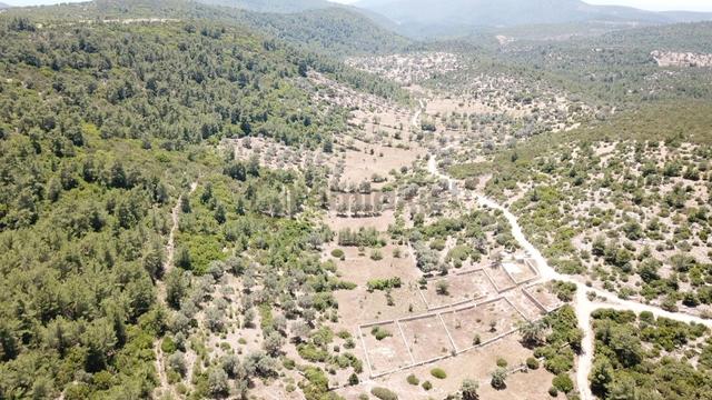 Yalıçiftlik'te Satılık 2.500 M2 Tarla 2