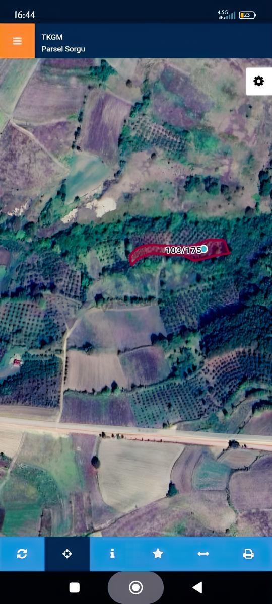 Tarcanlar'dan Kandıra Elmacık 1.856 M² Fındıklık Kupon Tarla 3