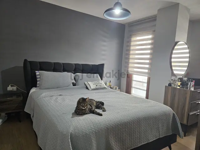 Sancaktepe 216 Konutları'nda Yenilenmiş 2+1 Havuzlu Site Metroya Yürüme Mesafesinde 5