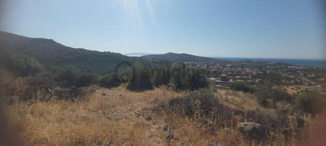 Bademli'de Manzarası Kapanmaz 361 M² Satılık Parsel 5