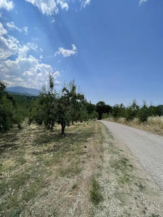 Nezir Gm'den Edebey Mahallesinde Satılık Armut Bahçesi 1