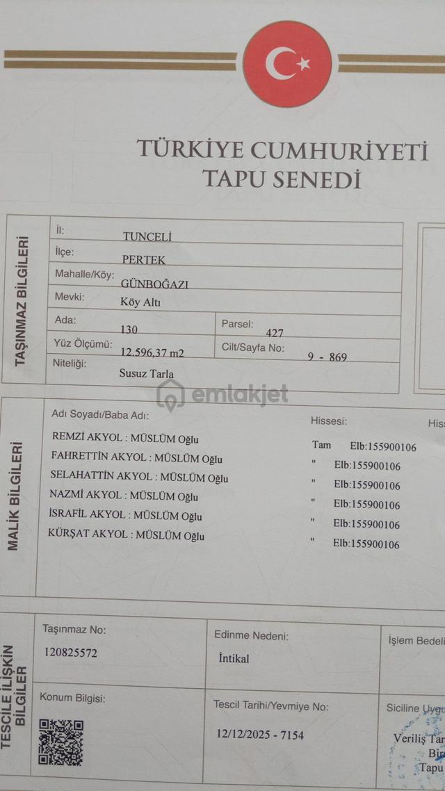 Tunceli Pertek Günbogazı Köyünden Sulu Tarla 1
