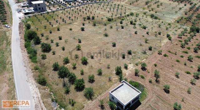 Repa Gayrimenkul Emin Darıcıoğlu Kaleboynu Ana Asfalt Üstü Tarla 3