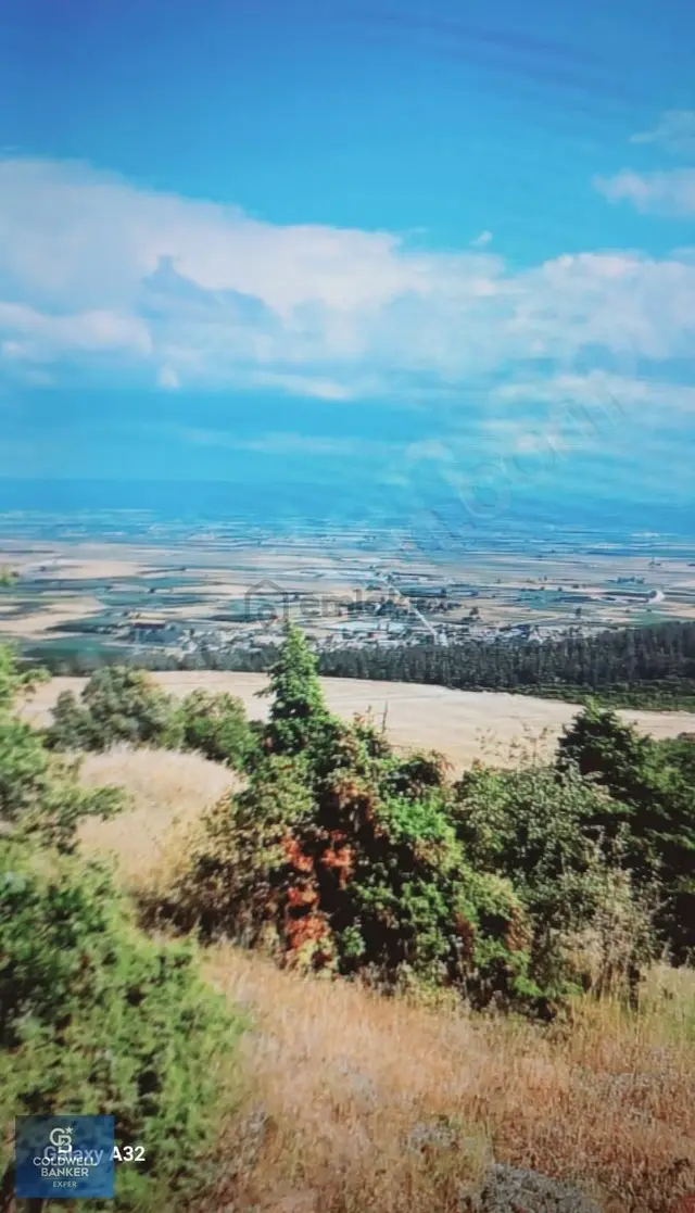 Bursa İznik Gölü Manzaralı Tek Tapu 40.000 M2 Arsa 3