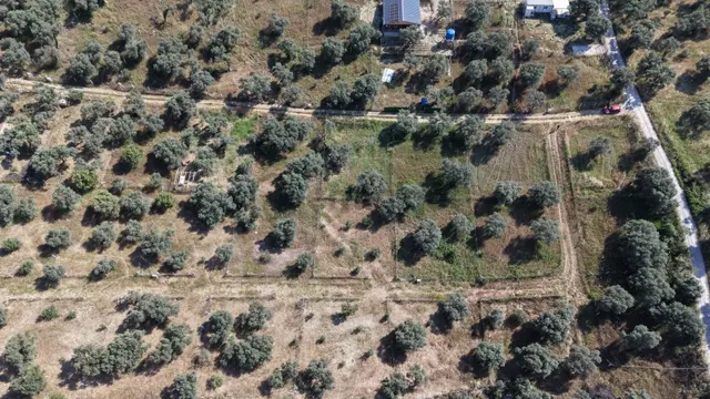 Kemalpaşa Vişneli Satılık 370 M² Tapulu Elektrik Ve Suyu Bahçe 4