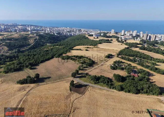 Atakum Alanlı Satılık 391 M2 Villalık Arsa 4