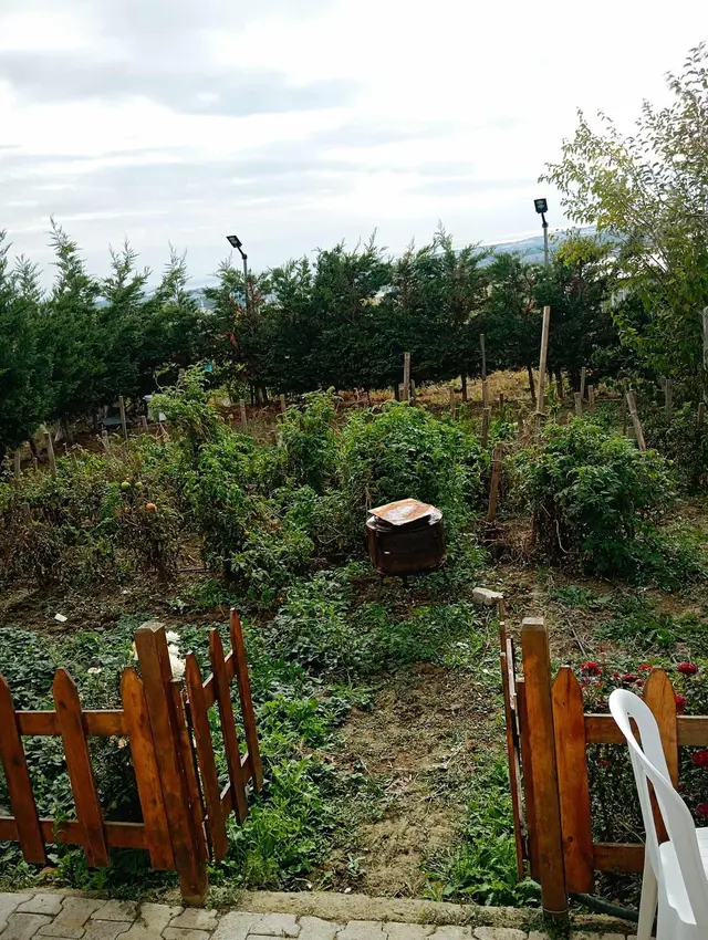 Silivri Ortaköy'de Satılık Yazlık Ev 2