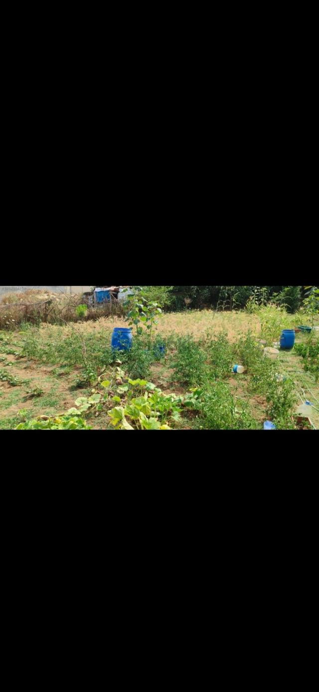 Gerze Devlet Hastanesi'ne 200mt. Mesafede Villalar Girişinde İmarlı Arsa... 5