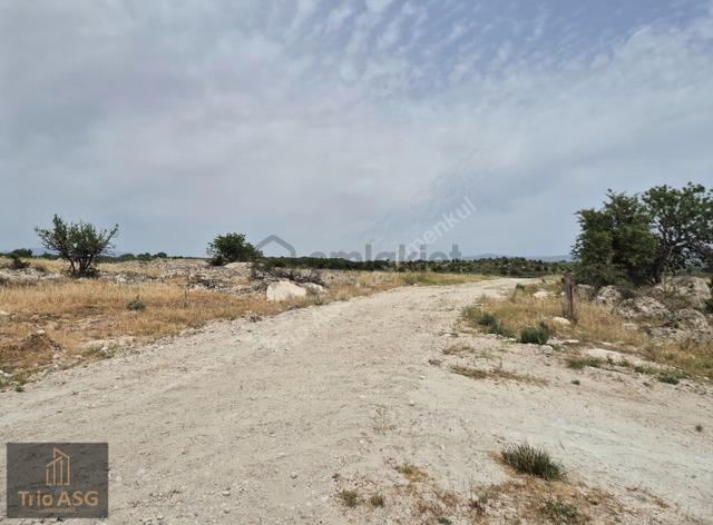 Dikili Çandarlı'da İmara Sınır 600m² Satılık Kooperatif Hissesi 2