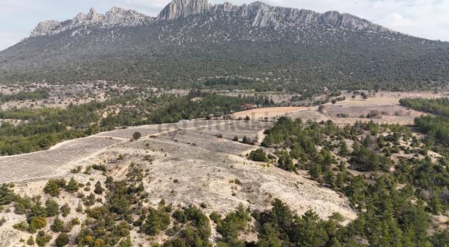 Baklan Merkezde 13.140m2 Satılık Tarla 4