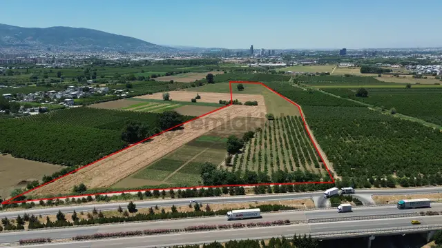 Remax Area'dan Gelir Üreten Ve Yatırımlık Satılık 90 Dönüm Arazi 1