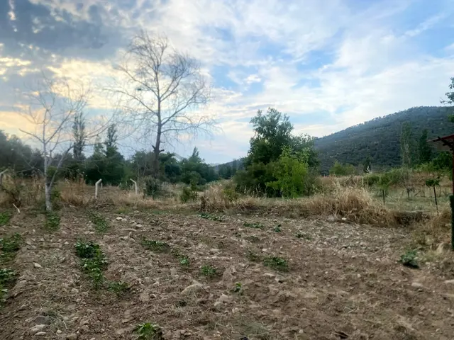 Burhaniye Bahadınlı Köyünde Satılık Bahçe 4