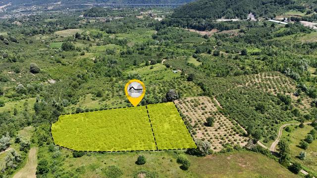Ruşen Aydın Gyd'dan Kaynaşlı Dipsizgöl'de Satılık Fındık Tarlası 3