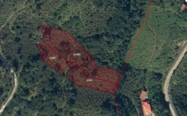 0rdu Perşembe Saray Mahallesinde Manzaralı 5001 M2 Satılık Fındık Bahçesi. 3