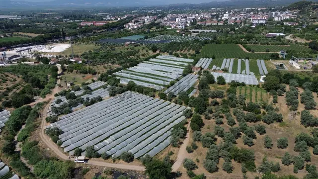 Satılık Bahçe 2