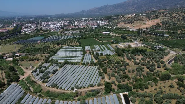Satılık Bahçe