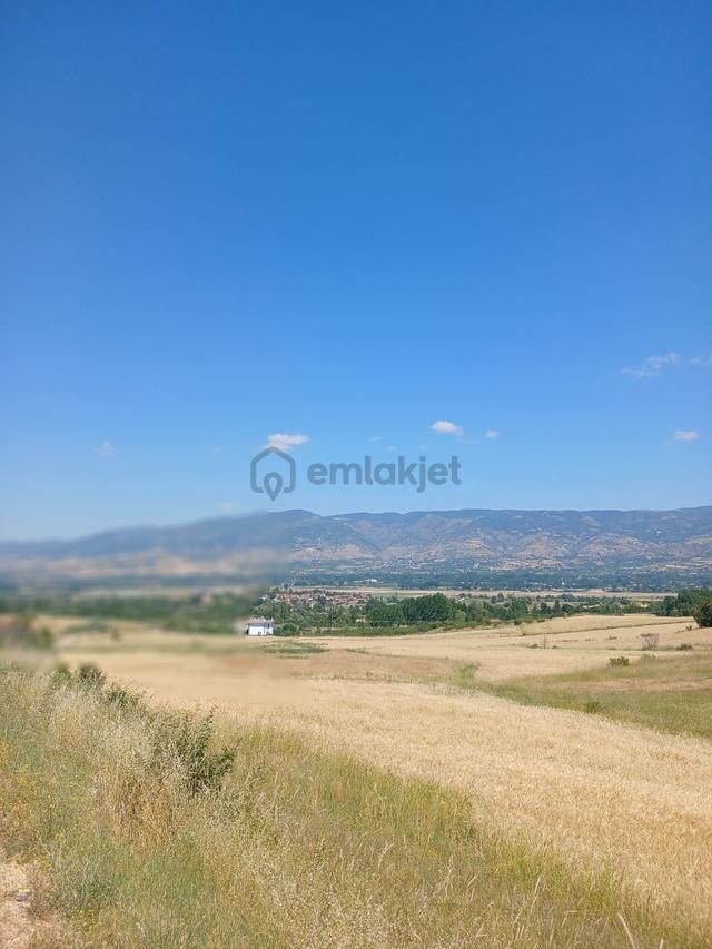 Tokat Bizim Emlaktan Satılık Bahce 2