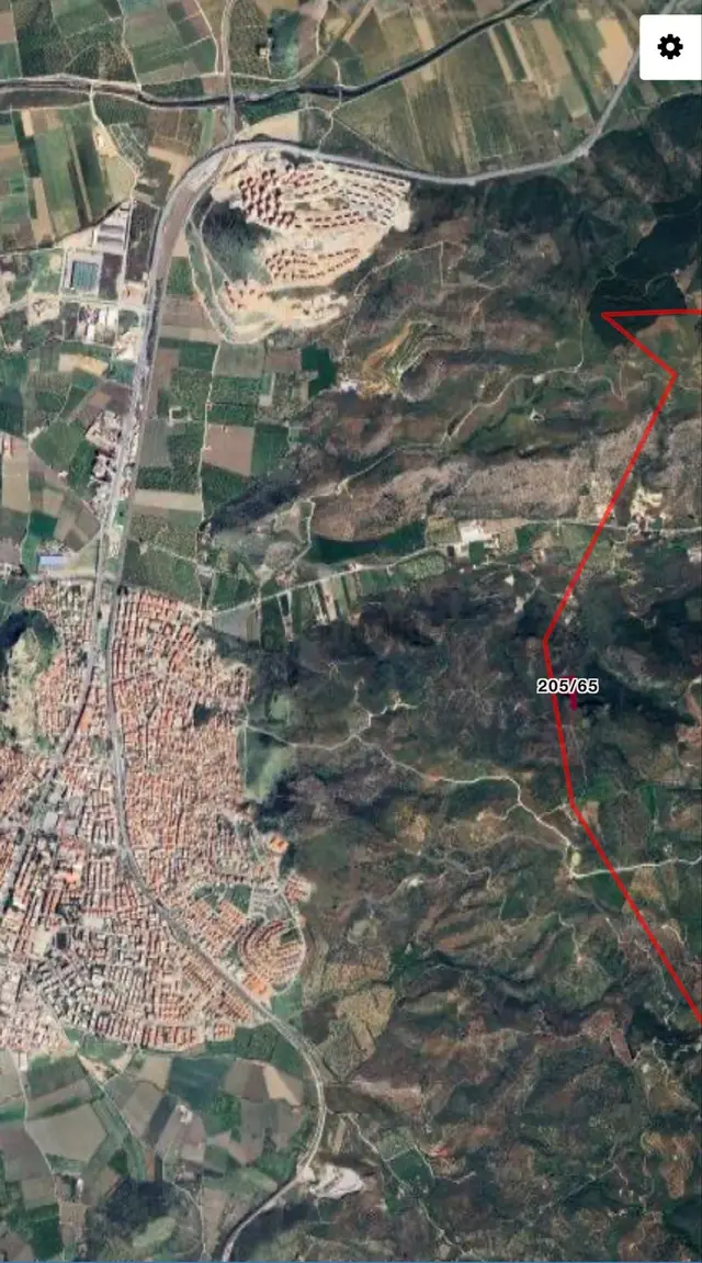 Şirince'de Satılık 4120 M2 Zeytinlik 3