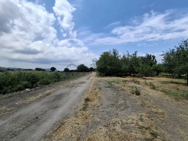 Bursa Orhangazi Çeltikçi Mahallesi'nde Satılık Zeytinlik 4