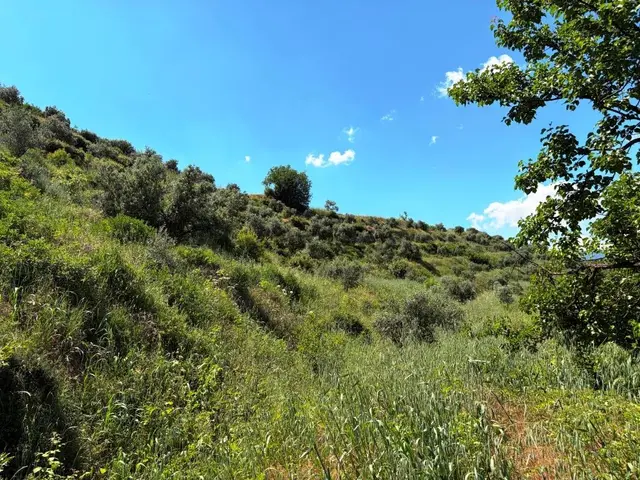 Bozdoğan Yeni Mahallede 12.860,32 M², Ulaşımı Kolay Zeytinlik 4
