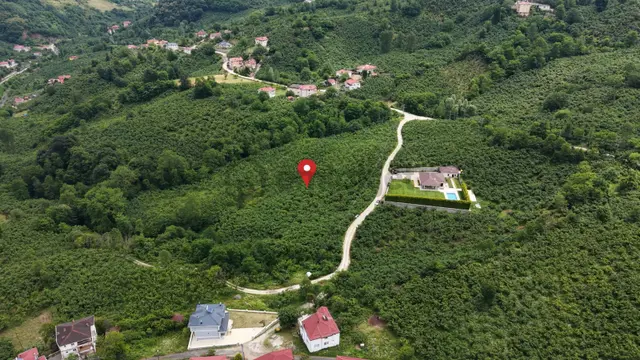 Beyli Köyünde Satılık Fındık Bahçesi 1
