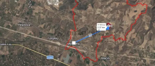 Salihli 63 Dönüm Satılık Zeytinlik Mevlütlü Mah. Odunlu Mevkii 2