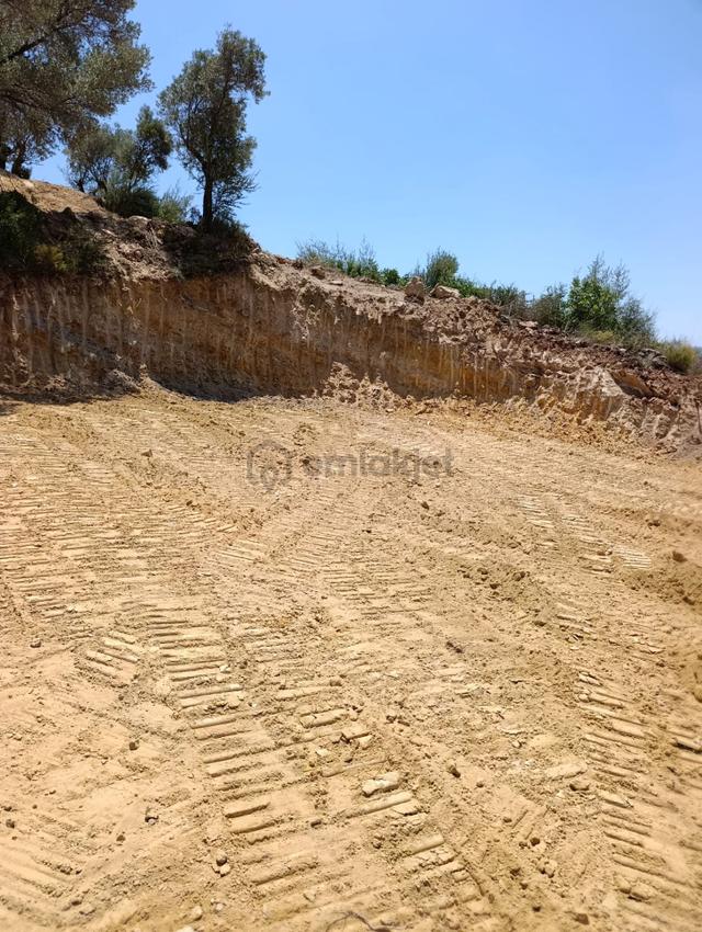 Torbalı Dirmil’de Satılık 2569 M² Manzaralı Zeytinlik 5