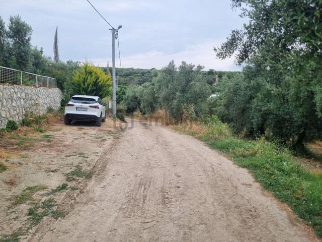 Mudanya Yalıçiftlik'de Kısmi Deniz Manzaral Satılık Hobi Bahçesi 5