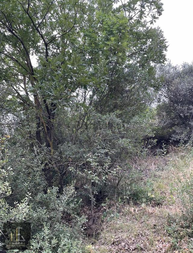 Güngören Bağlar'da Satılık Tek Tapu 673m2 Arazi! 4