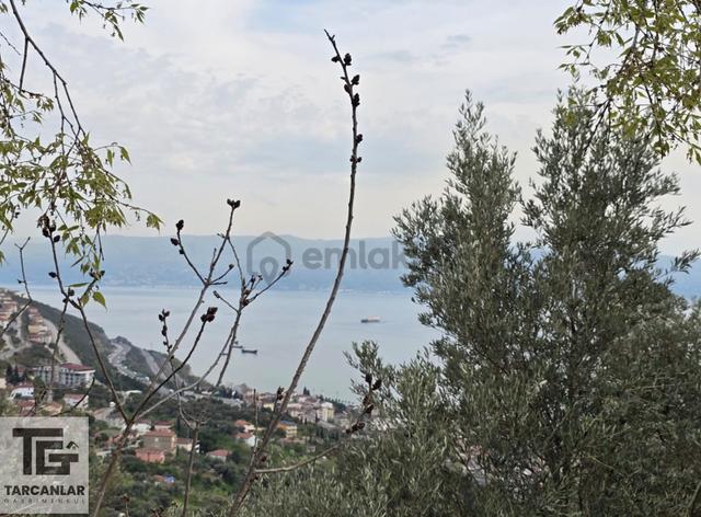Tarcanlardan Körfez'de 1/1000 İmarlı 2.390 M² Satılık Arsa 5