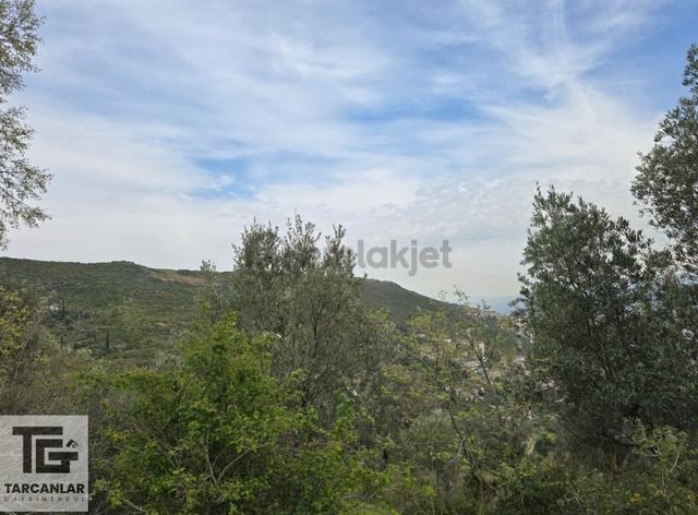 Tarcanlardan Körfez'de 1/1000 İmarlı 2.390 M² Satılık Arsa 4