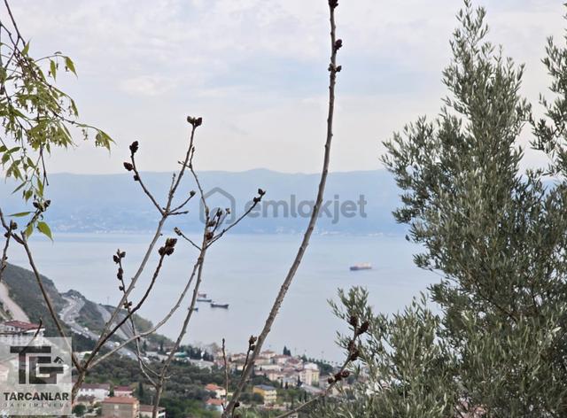 Tarcanlardan Körfez'de 1/1000 İmarlı 2.390 M² Satılık Arsa 5