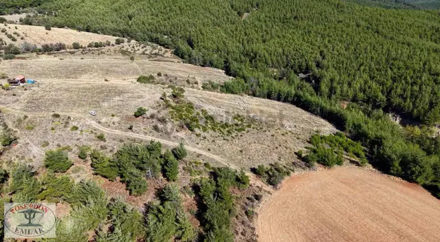 Bayramiç Palamutoba Köyü 3.981 M² İmar Sınırında Yola Cephe 2