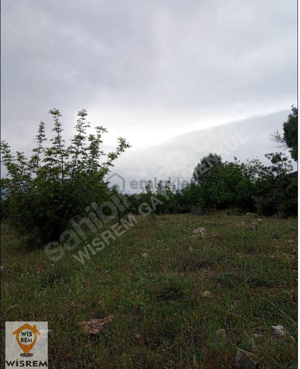 Söğüt'te 7468 M2 Satılık Fırsat Tarla 2