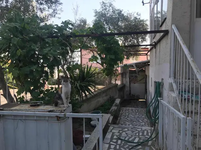 Bornova Atatürk Mah De Müstakil 235 M2 2 Katlı Kople Satı Bina 4