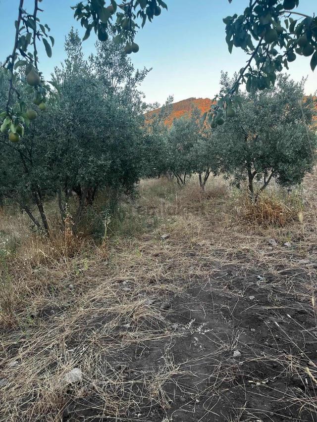 Gömeç Kumgedik Mahallesi'nde 4