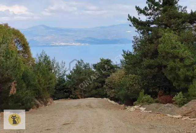 Göl Manzaralı Çam Ağaçların Arasında Huzurun Adresi 2