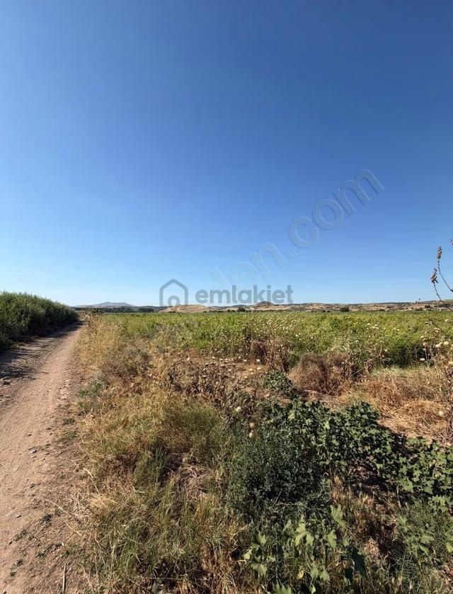 Manisa Ahmetli Yaraşlı Mahallesinde 13.500m² Satılık Bağ 1