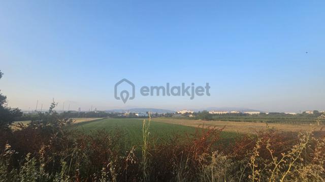 Kayalardan Terminal Dibinde Arazi 4490 Ada 82 Parsel 3