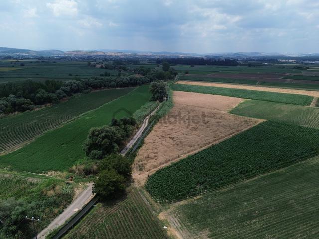 Halalca Mahallesi Kadastral Yola Cepheli 9916m2 Yatırımlık Tarla 3