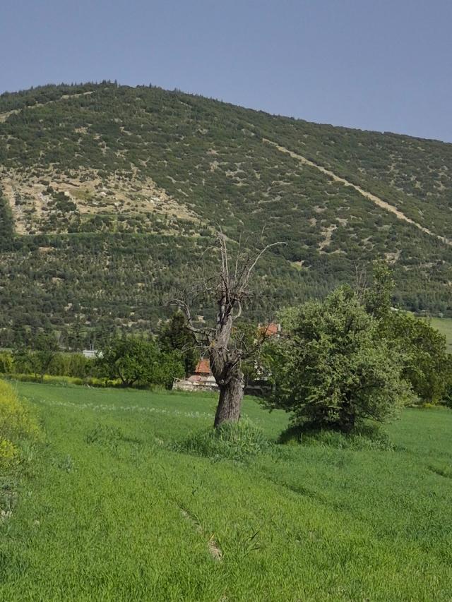 Isparta Gönen Satılık 19 Dönüm Yatırımlık Arazi 🌿 4