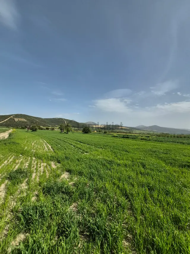 Isparta Gönen Satılık 19 Dönüm Yatırımlık Arazi 🌿 3
