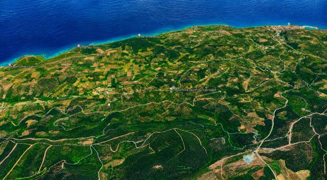 Mudanya Talatbey'de Bakımlı Satılık Zeytinlik 5