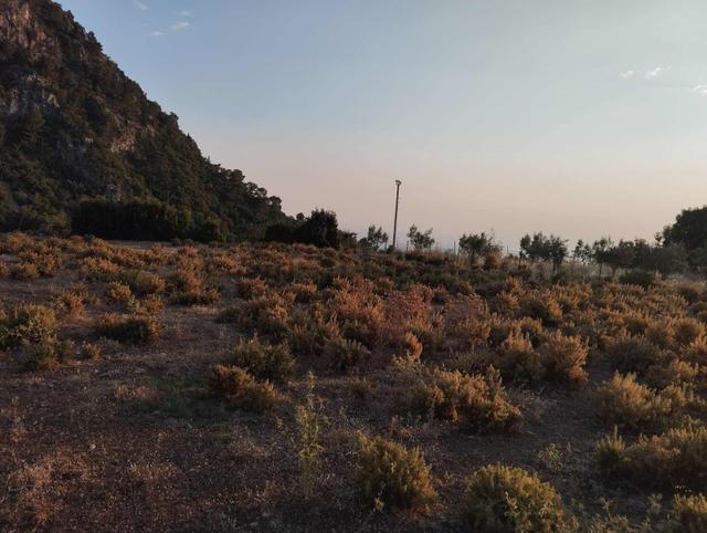 Fethiye Faralya'da Deniz Manzaralı Satılık Arazi 4