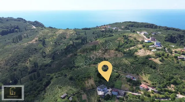 Güzelcehisar'da Satılık 1810m2 Tarla 4