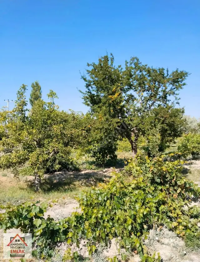 Niğde Bor Acıgöl'de Satılık 4065m² Bahçeli İskanlı Kargir Ev 1