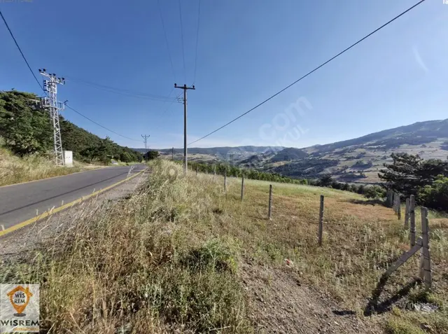 Geyve Akdoğan'da Satılık 5.780 M² Asfalt Yolacepheli Arsa