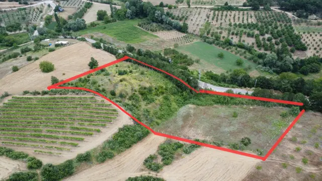 Geyve Akdoğan Köyünde 7.002 M2 Asfalt Yola Cepheli Satılık Arsa 1