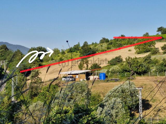 Geyve Akdoğan Köyünde 7.002 M2 Asfalt Yola Cepheli Satılık Arsa 4