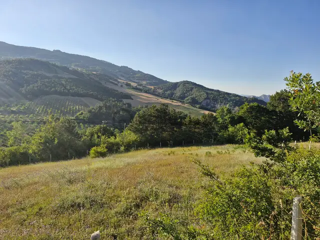 Geyve Akdoğan Köyünde 7.002 M2 Asfalt Yola Cepheli Satılık Arsa 3